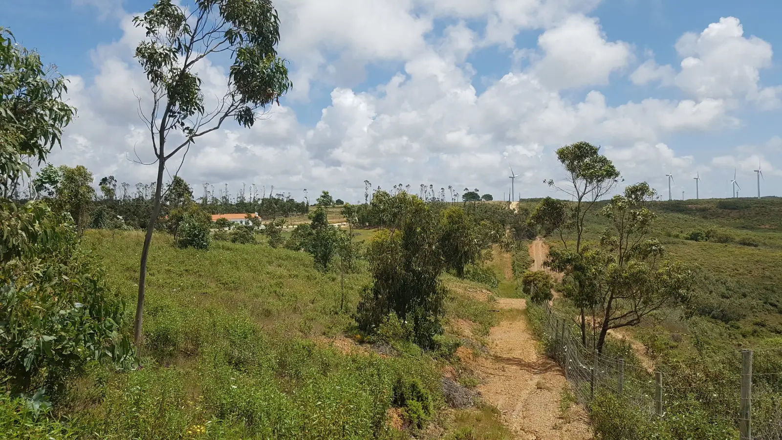 Caminho de terra na paisagem do Monte Loureiro, com a casa de hóspedes e aerogeradores ao fundo